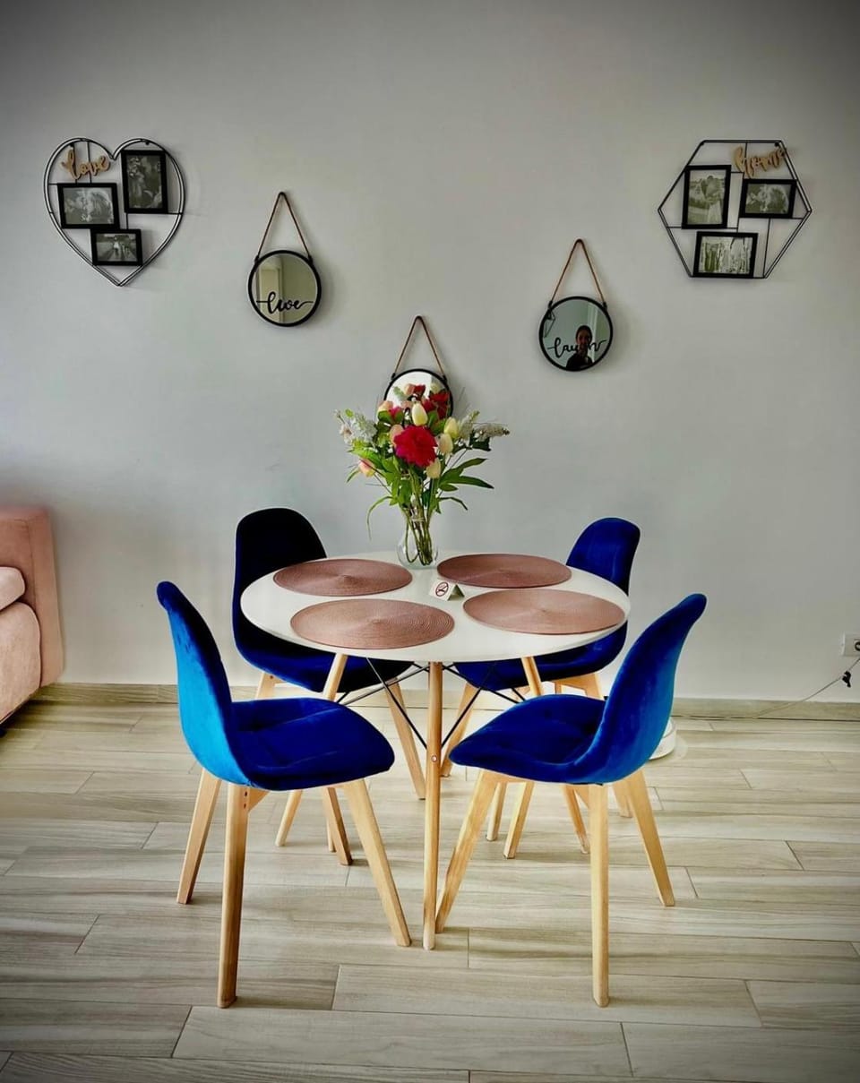 Karra Residence Timisoara - autorizat Ministerul Turismului Apartment in Timisoara