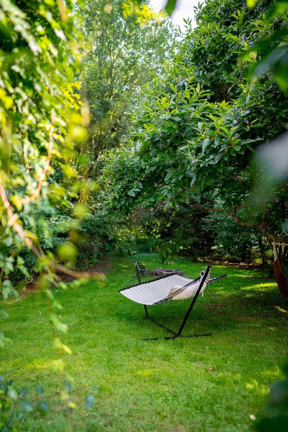 Spring, Garden