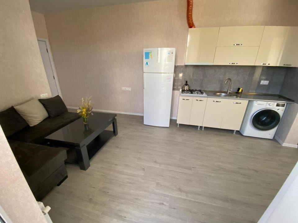 Kitchen or kitchenette, Living room, Seating area, Dining area