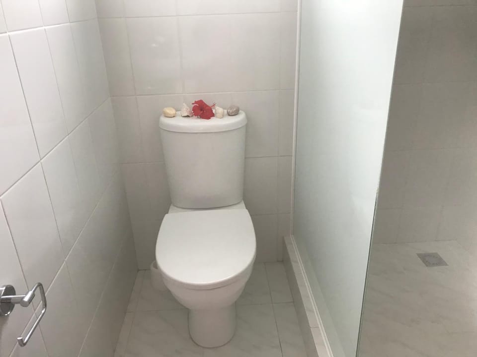 Toilet, Internal: Not applicable to any particular room