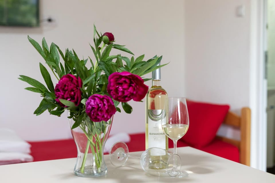 Ivy Love Apartmani Bed and Breakfast in Serbia