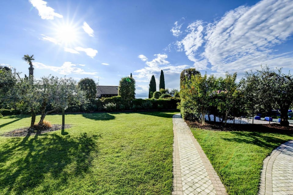 Patio, Garden, Garden view