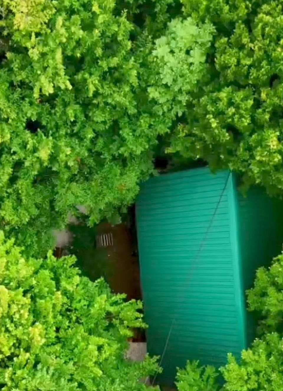 Brvnara Fairy Tale House in Montenegro