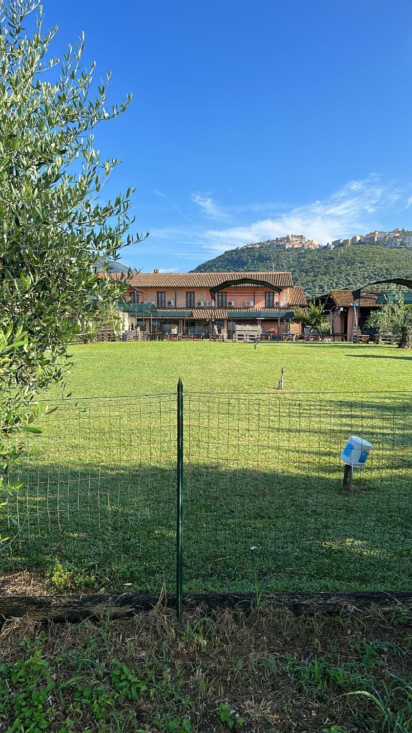 Spring, Day, Natural landscape, Garden, Garden view, Mountain view
