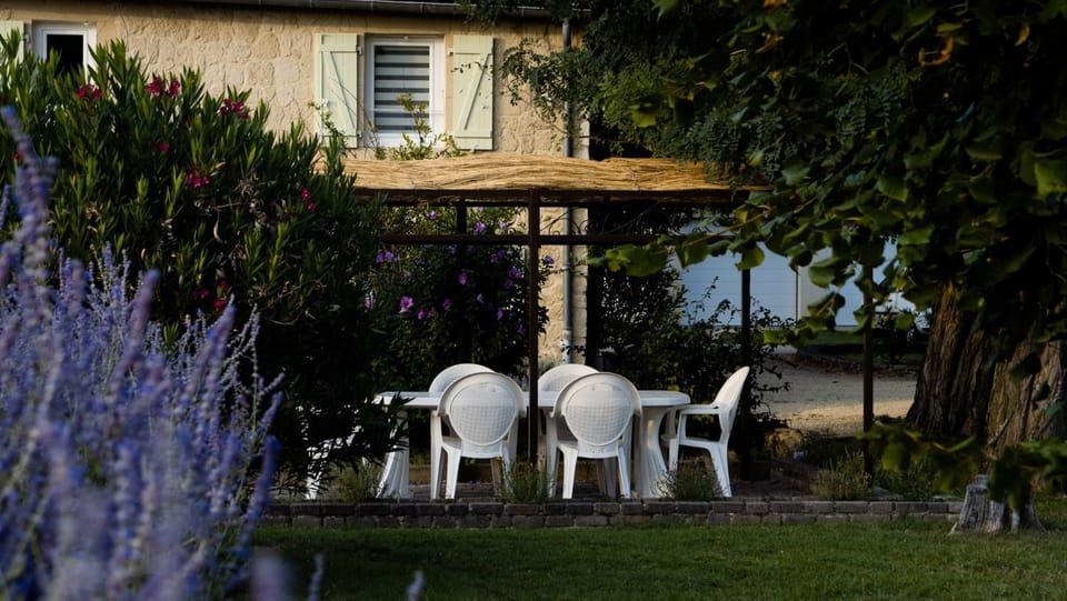 Patio, Garden