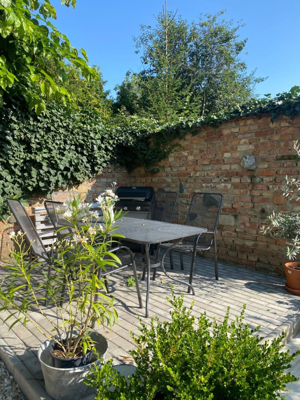 Garden, Garden view