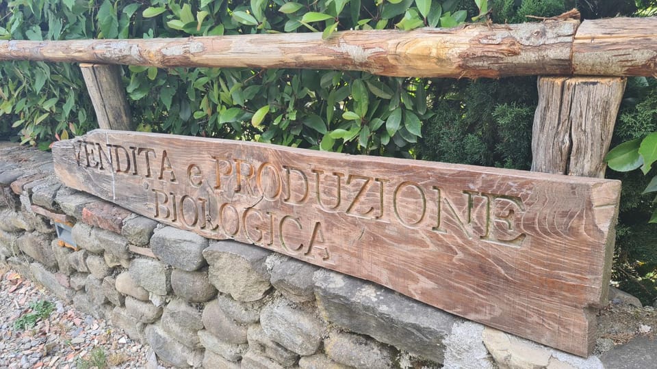 Agriturismo Podere Borgo Malnido Apartment in Province of Massa and Carrara