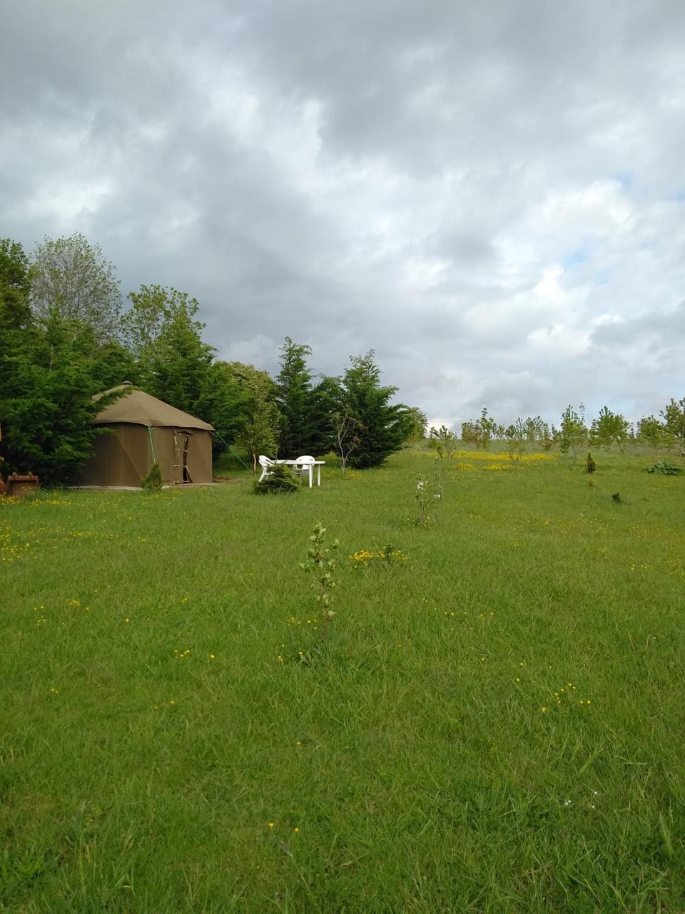 Natural landscape