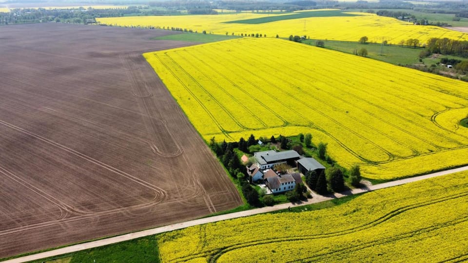 Ein Bett im Kornfeld - Haus Morgensonne - mit Innenpool Apartment in Mecklenburgische Seenplatte