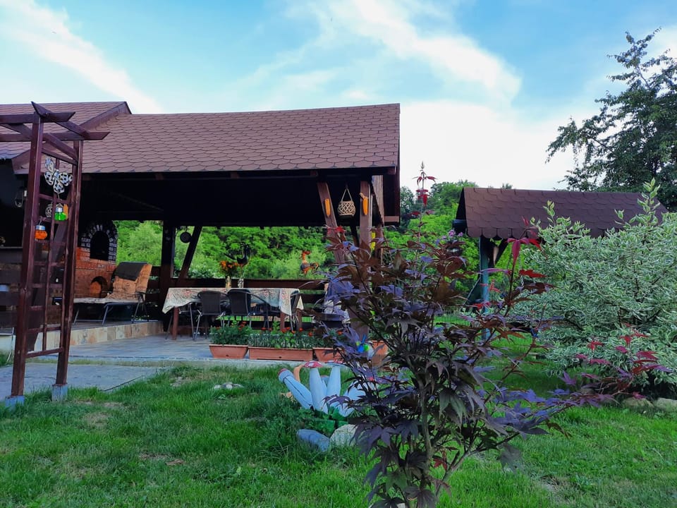 Garden, Balcony/Terrace