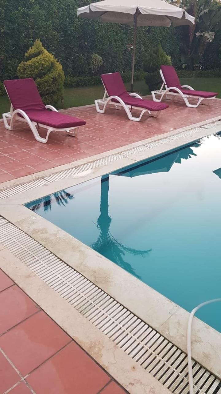 Relaxation Villa with private pool Villa in Alexandria Governorate