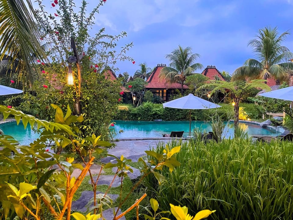 Garden, Pool view, Swimming pool
