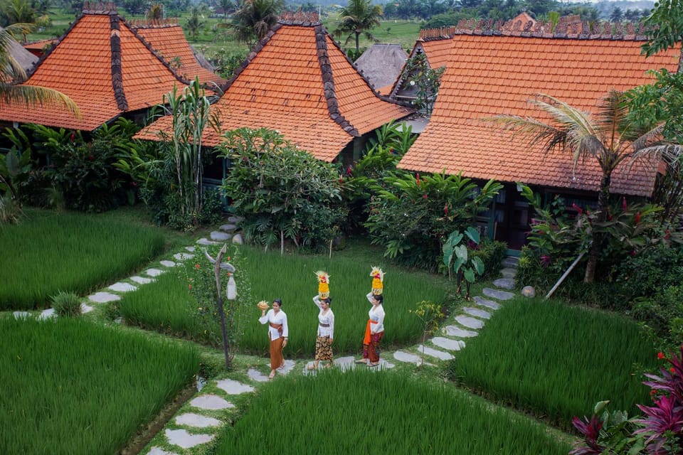 Activities, Activities, Garden, Garden view
