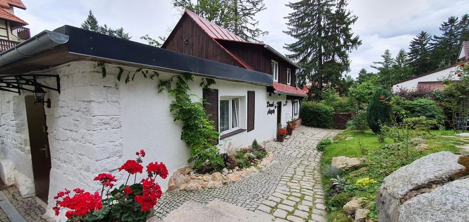 Property building, Garden, Other, Windsurfing, Pets, Garden view, Area and facilities, sunbed