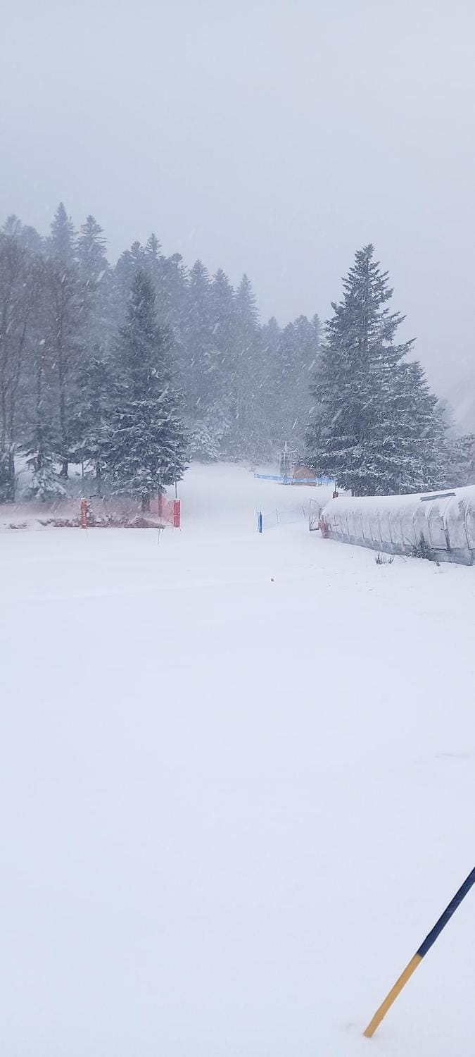 Winter, Skiing