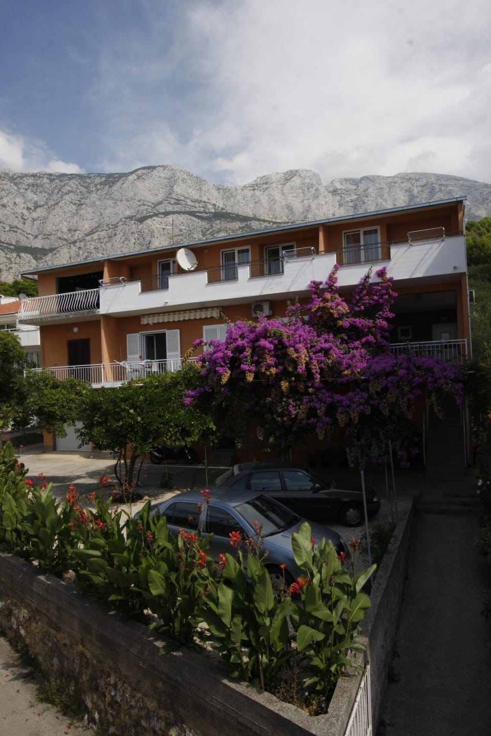 Property building, Garden view