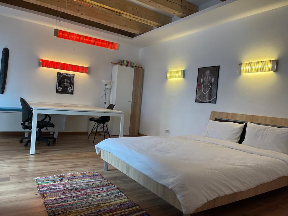 Savoya4 Old City Center Self Checkin WorkspaceStudio Apartment in Timisoara