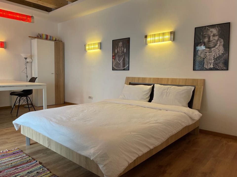 Savoya4 Old City Center Self Checkin WorkspaceStudio Apartment in Timisoara