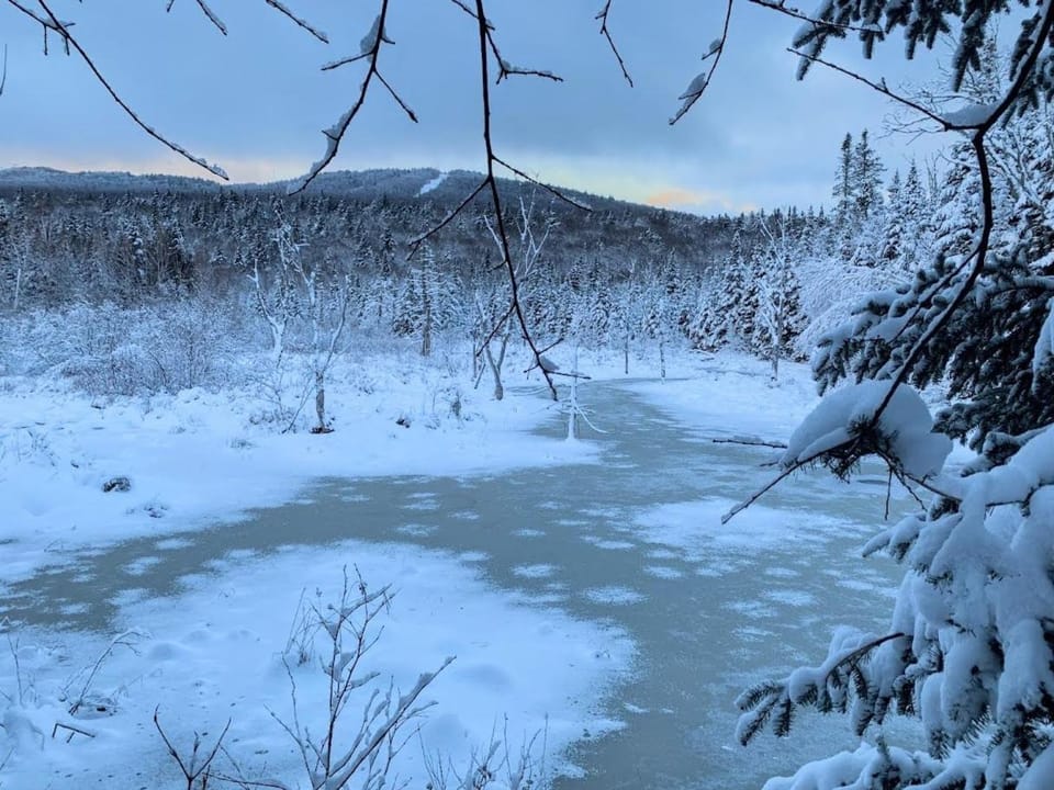BC Log cabin with private beach river fire pit AC wifi onsite trails ski slope views Cabin in Carroll