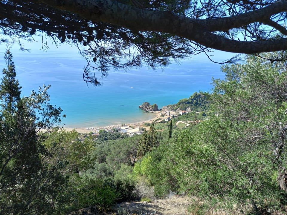 Natural landscape