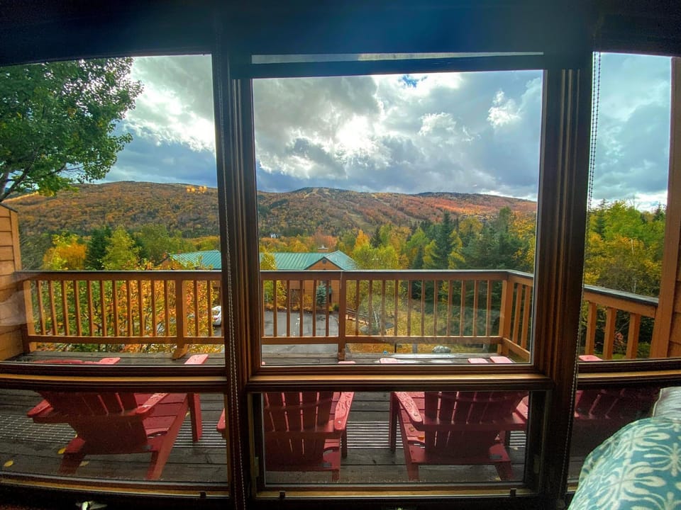 W5 AIR CONDITIONED Mount Washington Place townhouse with fireplace air hockey free and fast wifi Villa in Carroll