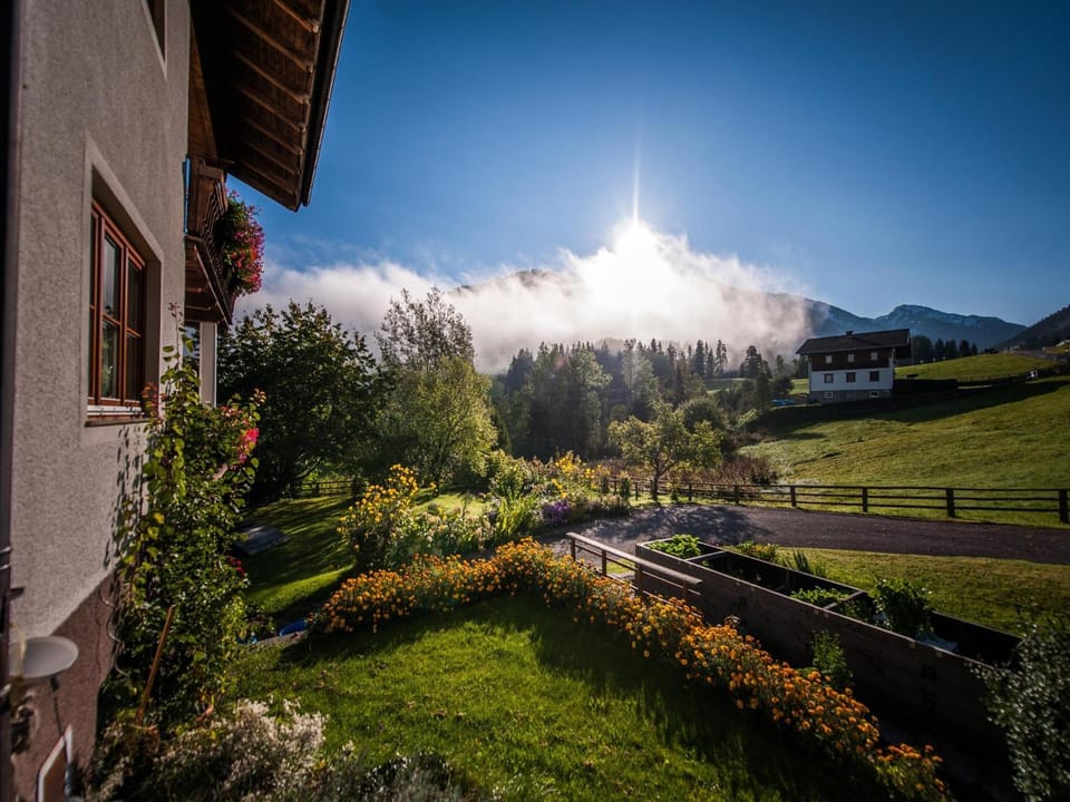 Summer, View (from property/room)