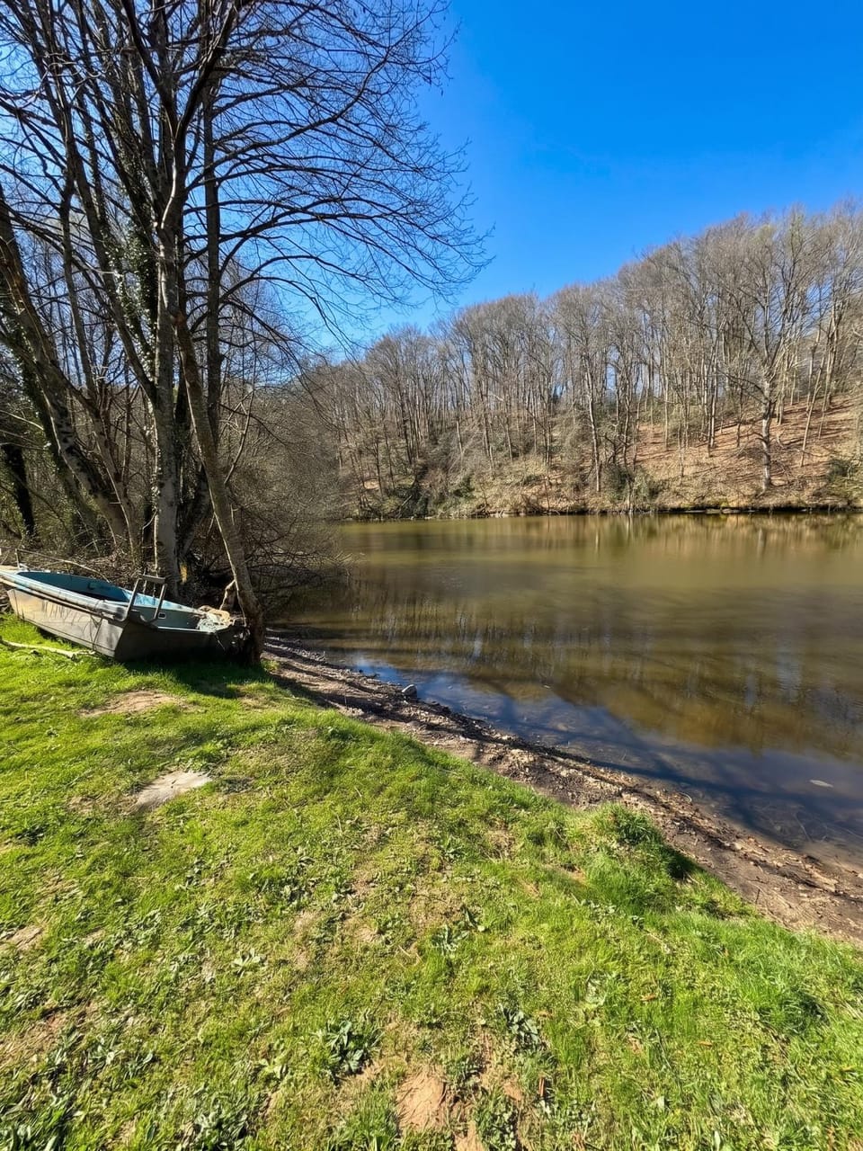 Lake view