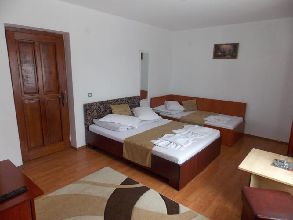 Pensiunea Paradis Bed and Breakfast in Romania