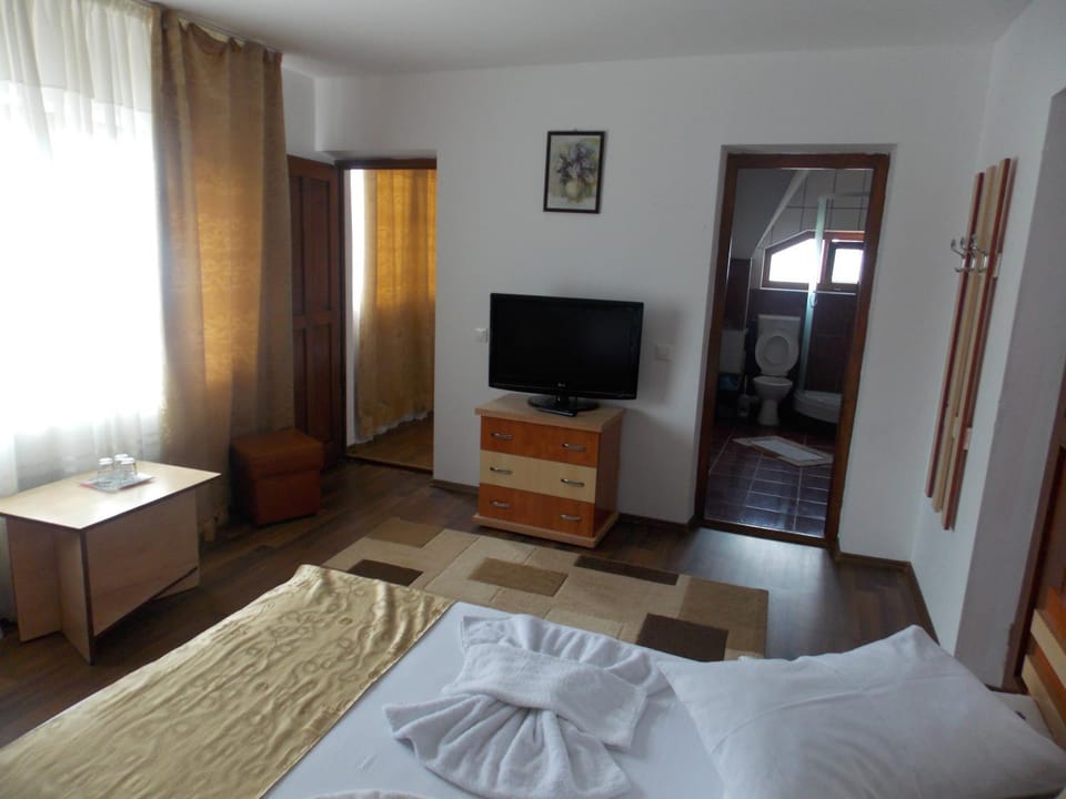 Pensiunea Paradis Bed and Breakfast in Romania