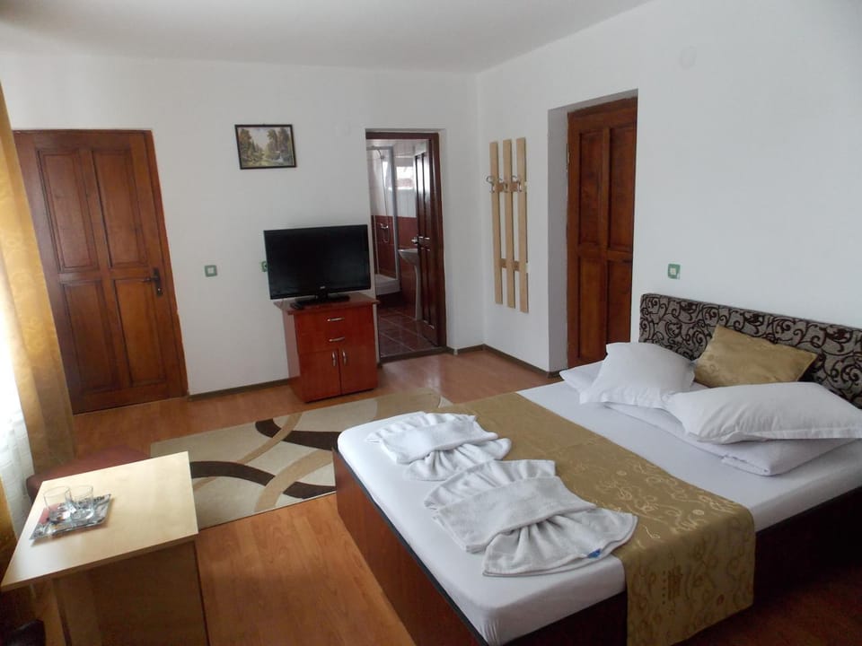 Pensiunea Paradis Bed and Breakfast in Romania