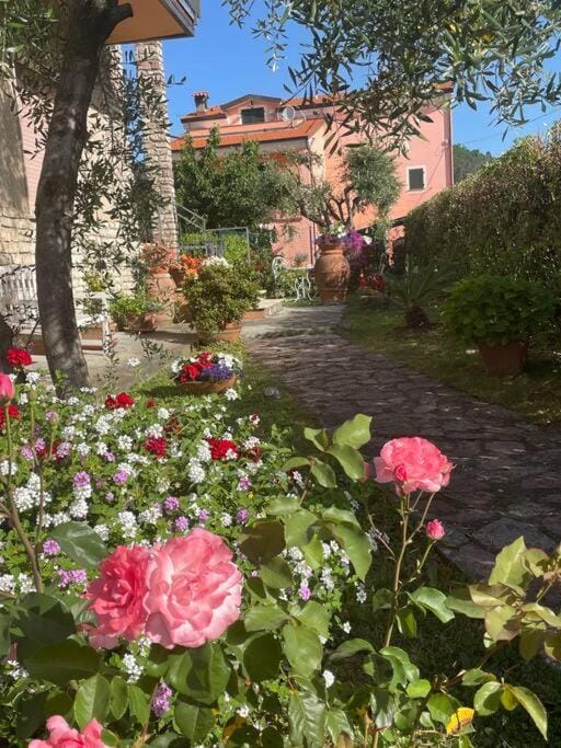 Property building, Spring, Garden view