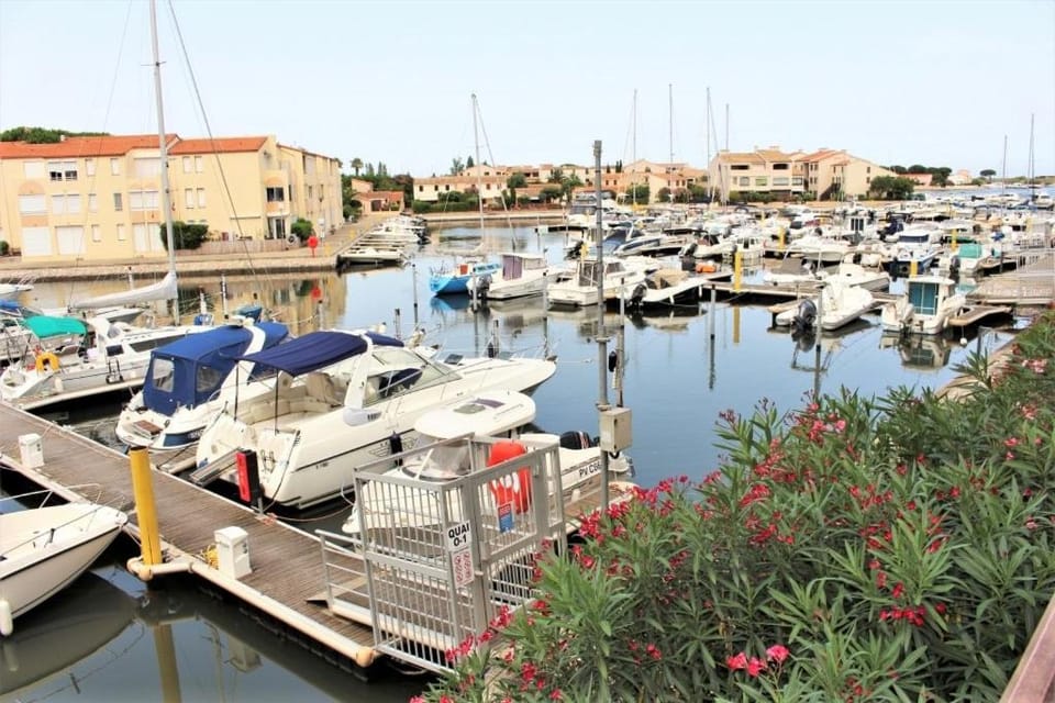 Amirauté I 21 2pieces 4 personnes Apartment in Saint-Cyprien