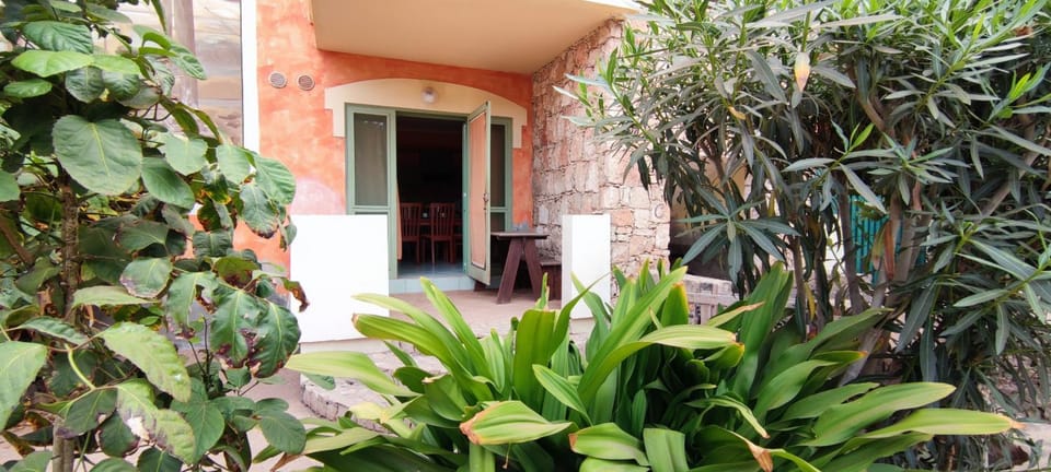 Patio, Facade/entrance, Garden