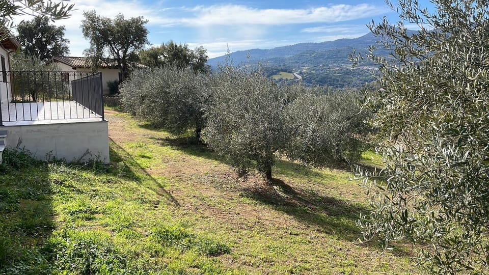 AGRITURISMO VIGNA DE' LUCERI Apartment in Sardinia