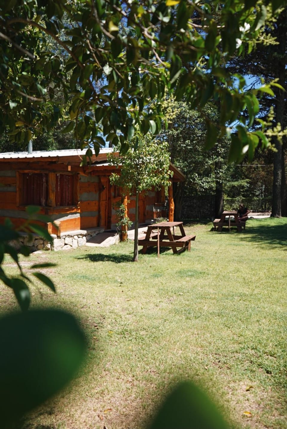 Garden view