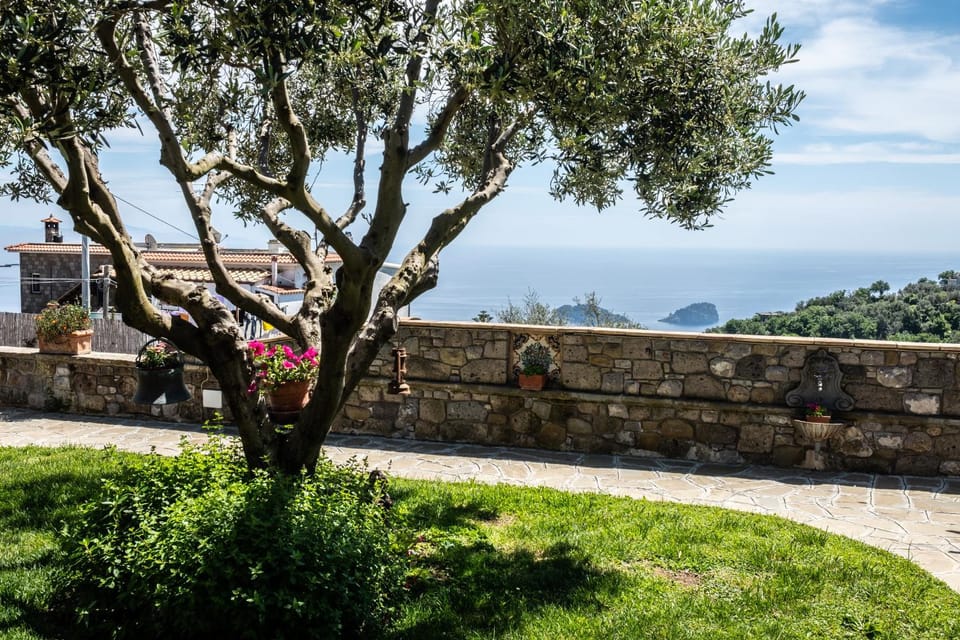 Natural landscape, Garden, Sea view