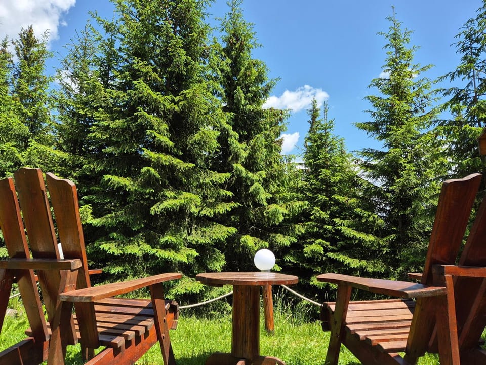 Vila Ozon Bed and Breakfast in Romania