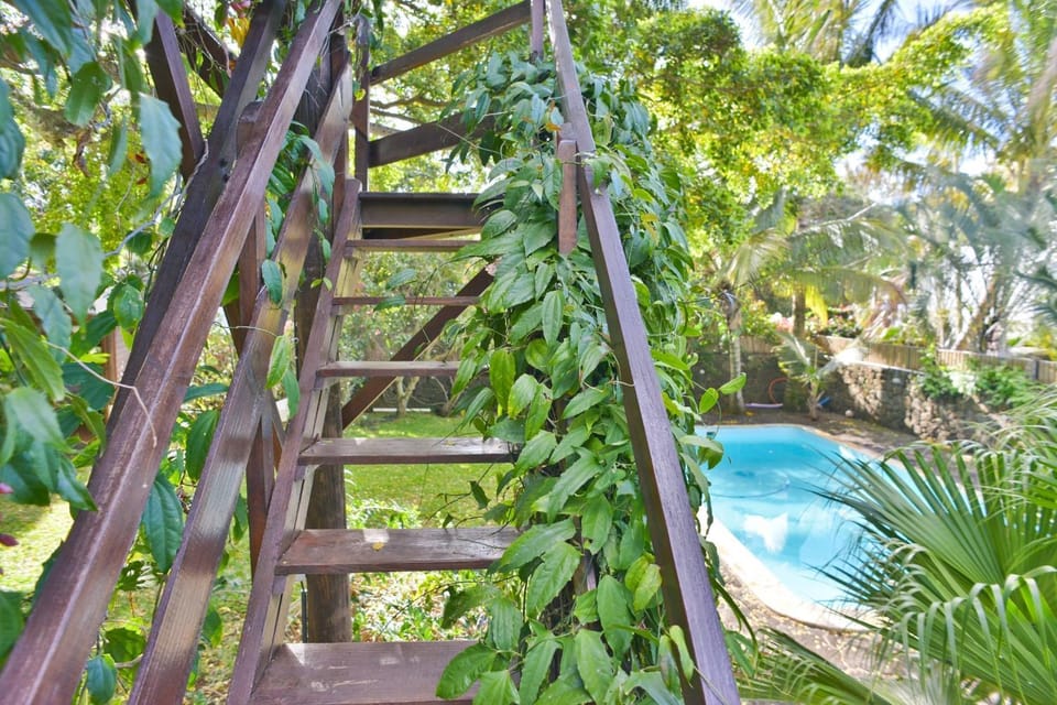 Day, Swimming pool