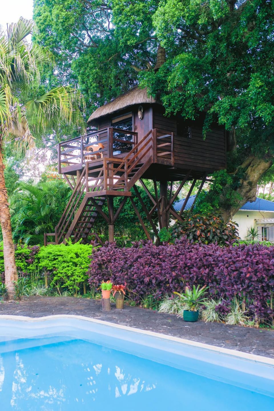 Pool view