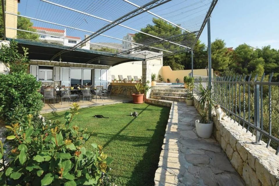 Patio, Garden, Garden view