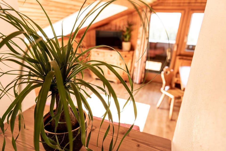 Haus Lohengrin Ferienwohnung 5 Apartment in Trentino-South Tyrol