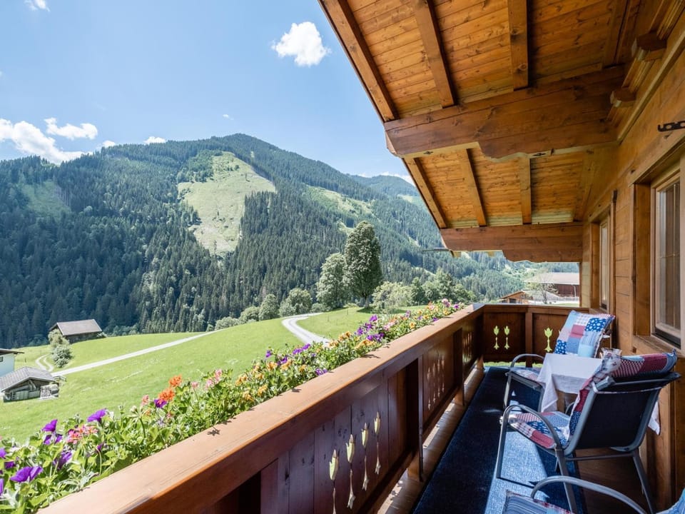 Summer, View (from property/room)
