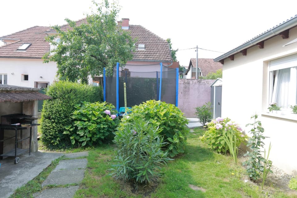 Activities, Garden