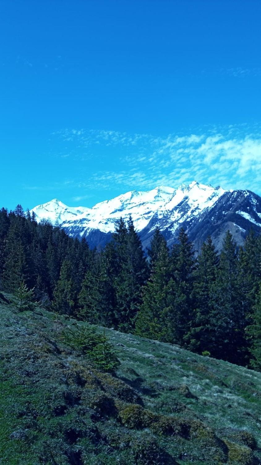 Mountain view