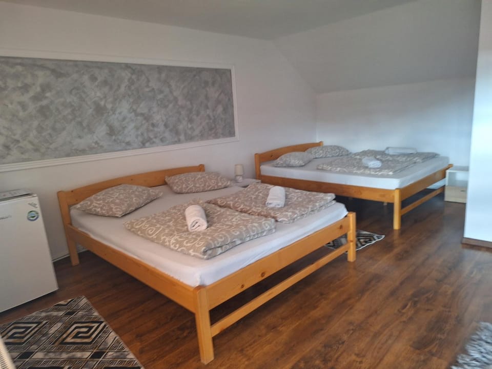 Rajni Panzió Bed and Breakfast in Romania