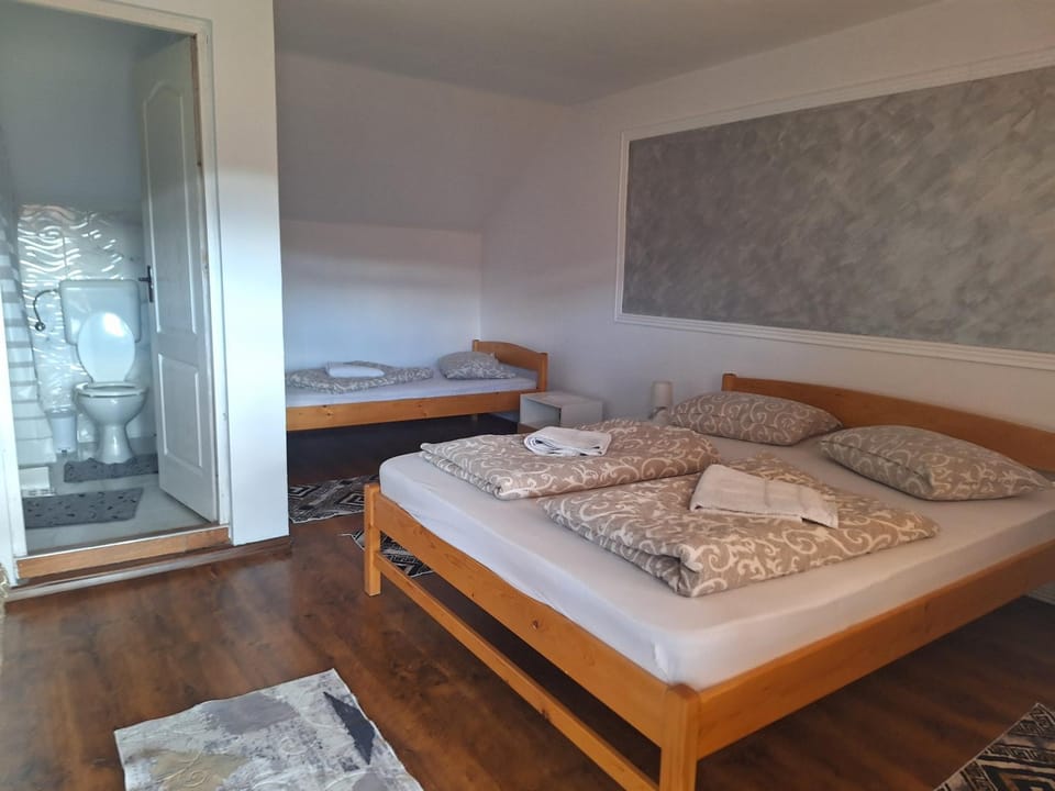 Rajni Panzió Bed and Breakfast in Romania