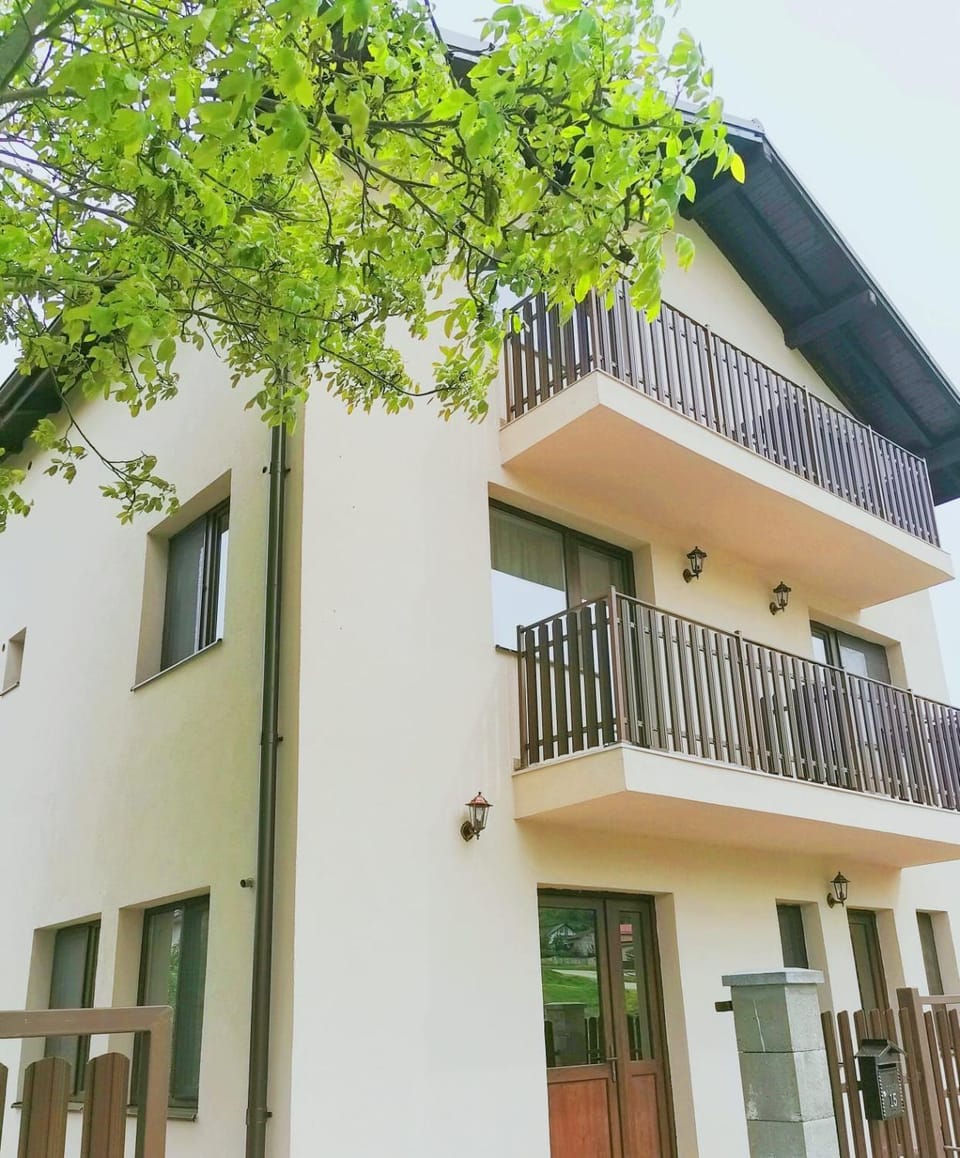 Pensiunea Albina Bed and Breakfast in Cluj County