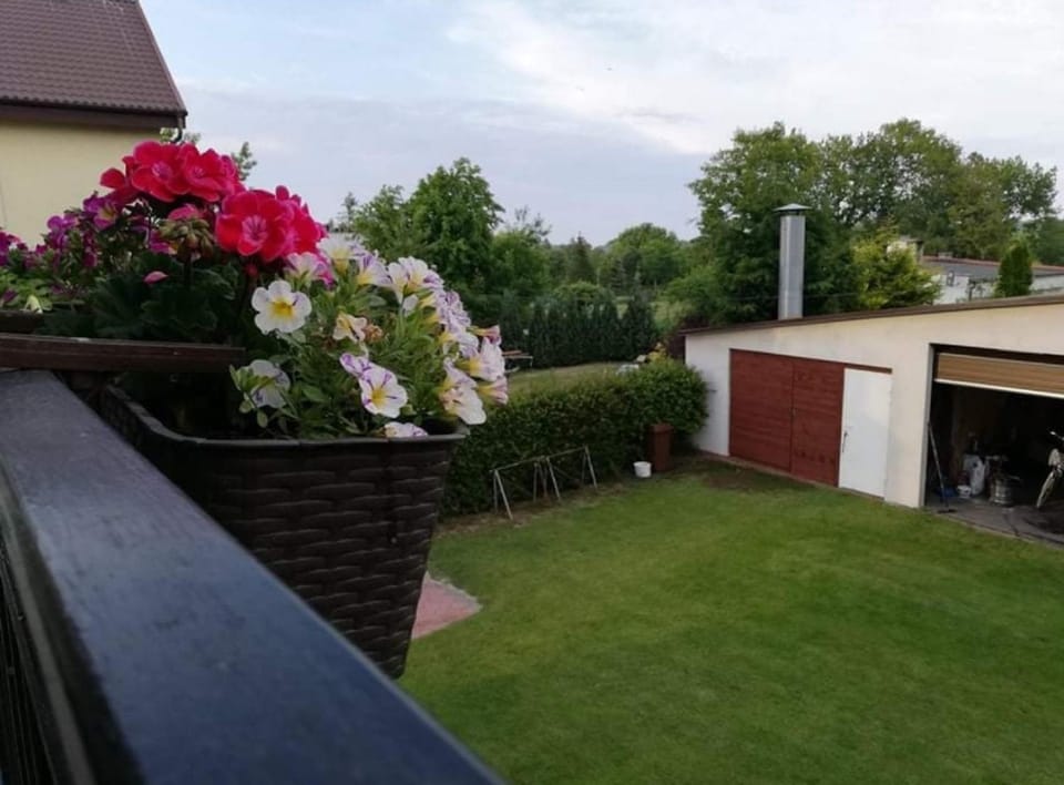 Willa Anka Vacation rental in Pomeranian Voivodeship