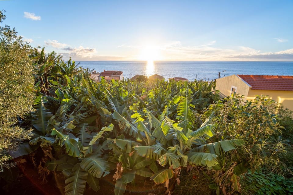 Garden view, Sea view, Sunset