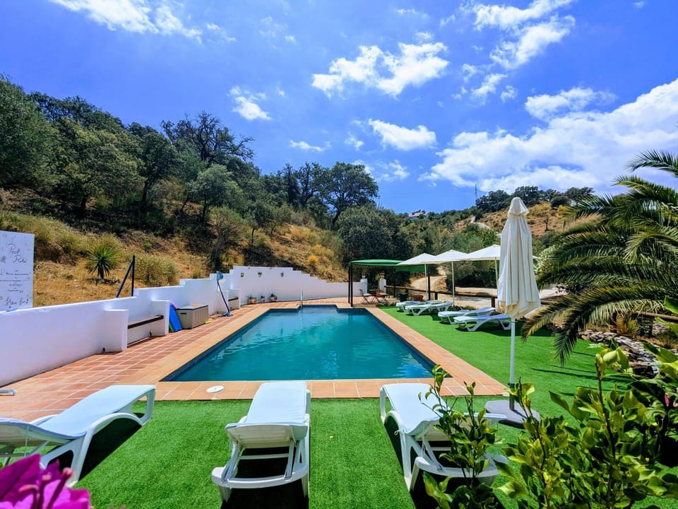 Day, Swimming pool, sunbed